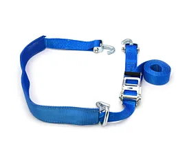 Alle autosjorbanden & toebehoren Autospanband-  50mm - 5T - 3,2m+0,3m - Draaihaken, losse vingerhaak, hoes