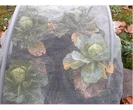 Andere netten & dekzeilen (Agro) Insectengaas - 3mx10m - 110g/m2 - Transparant